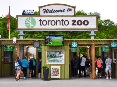 A Discover the 5 Largest Zoos in Canada (And the Ideal Time to Visit Each)