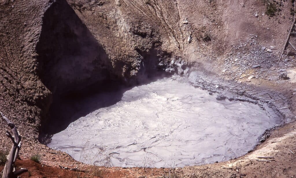 Yellowstone's Mud Volcano