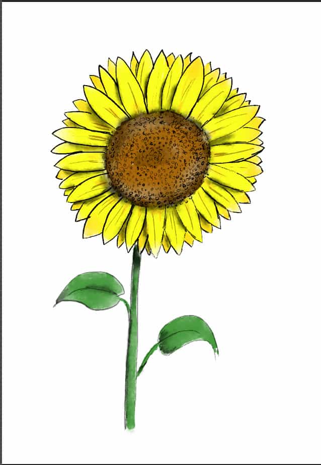 simple sunflower drawings