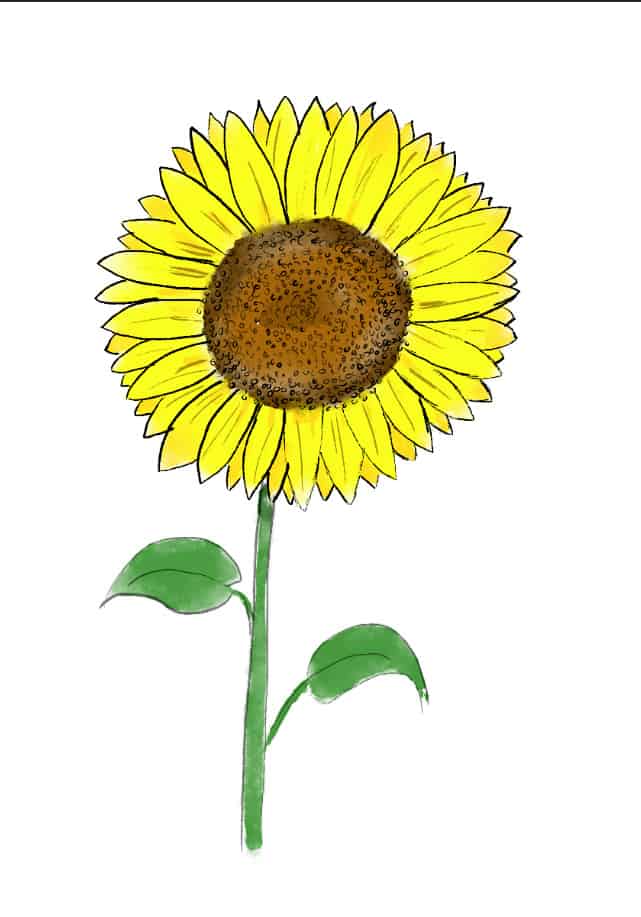 Sunflower 6 -Add some detail