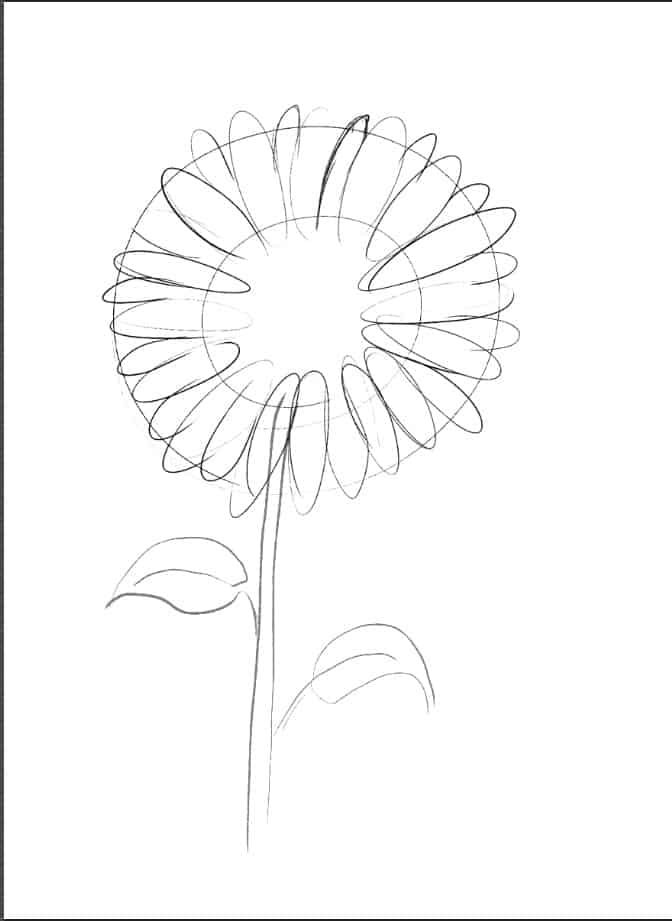 How to Draw a Sunflower in 8 Easy Steps Wiki Point