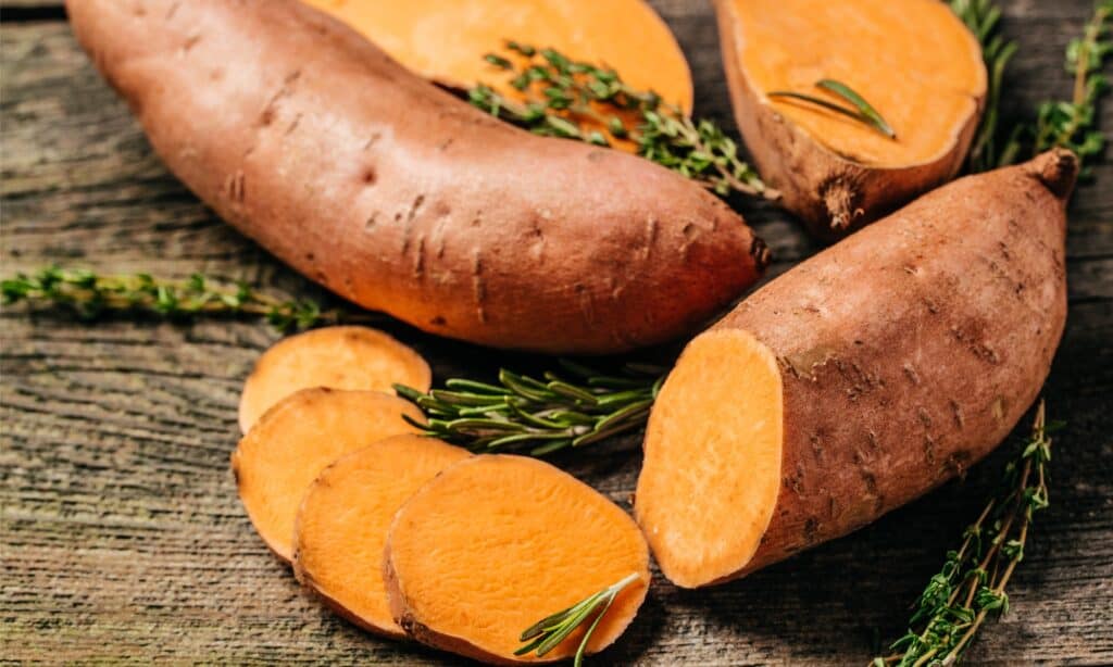 Butternut Squash vs Sweet Potato