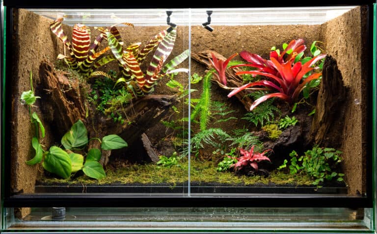 vivarium