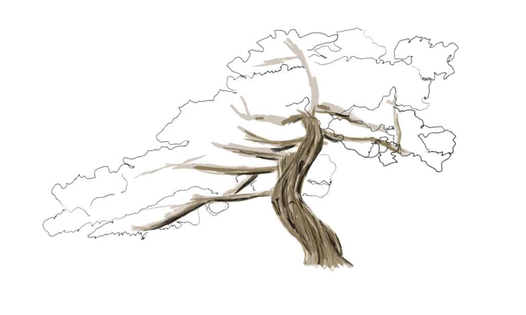 simple tree sketch