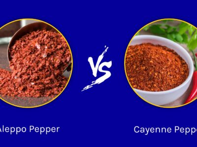 A Aleppo Pepper vs Cayenne: What is the Difference?