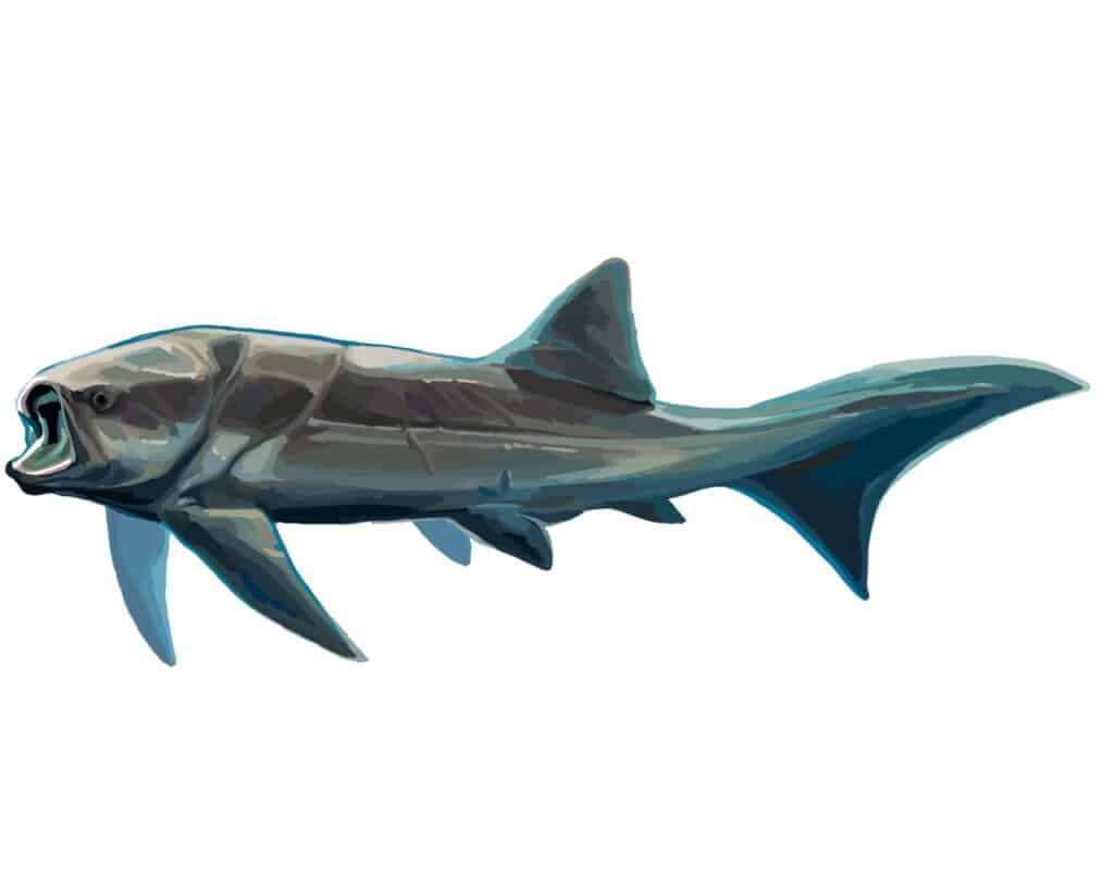 Titanichthys