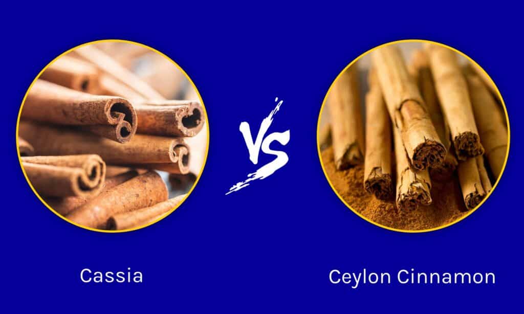 Cassia vs cannelle de Ceylan