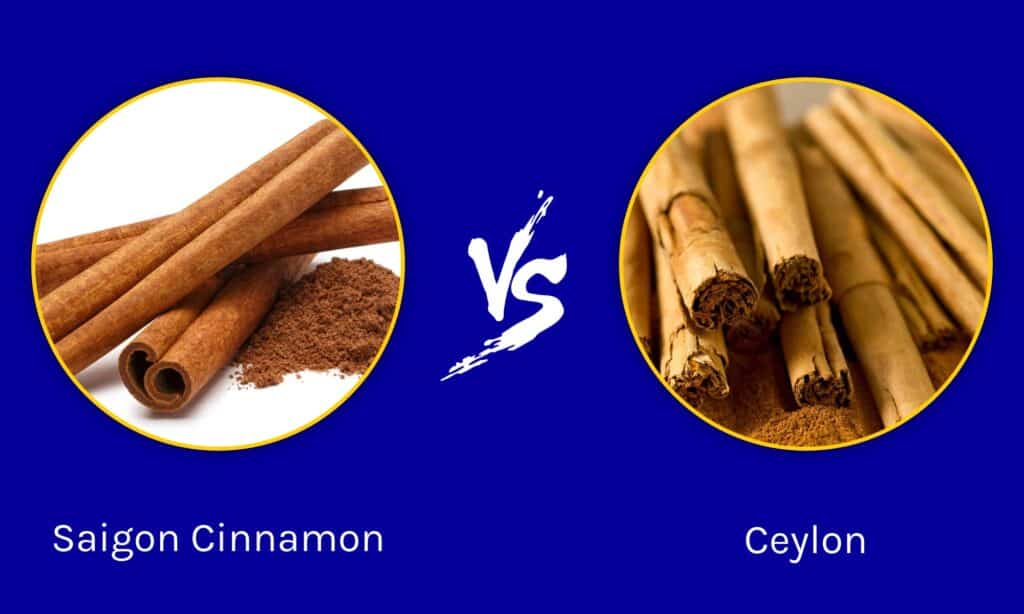 Saigon Cinnamon vs Ceylon