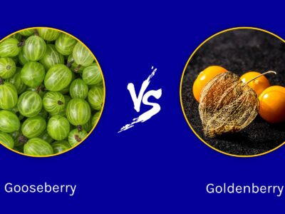 A Gooseberry vs. Goldenberry: Is There a Difference?