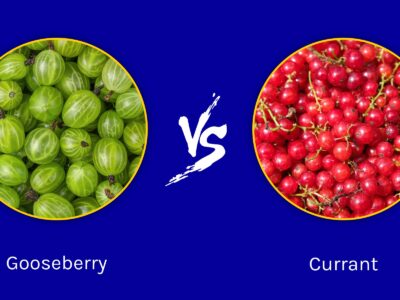 A Gooseberry vs. Currant: What Is the Difference?