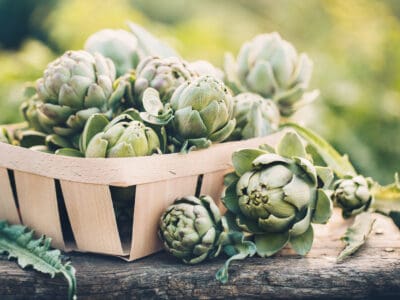 A This Tiny U.S. Town Is Known as the `Artichoke Capital of the World`