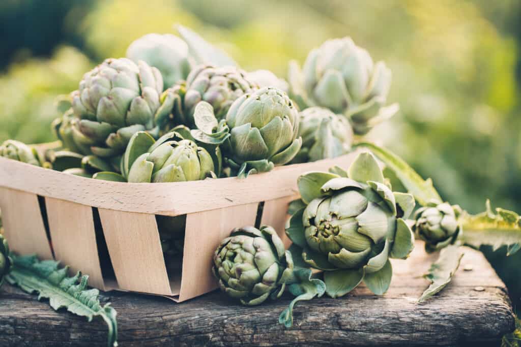 Artichokes in a basket