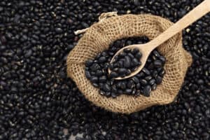 Yes! Your Dog Can Eat Black Beans. Here’s Why Picture