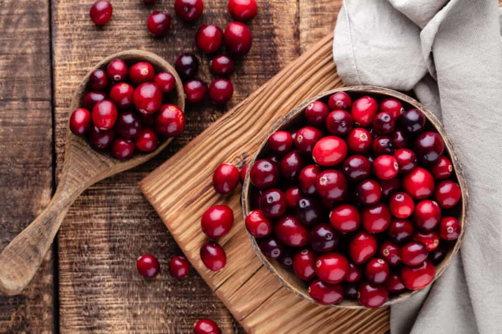 A bowl of red cranberries which are safe  for dogs 