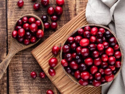 A How to Grow Cranberries: A Complete Guide
