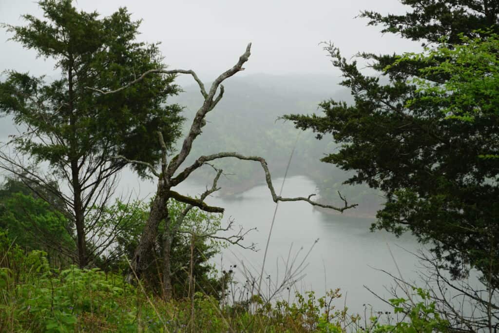 A photo of the Broken Bow lake from an overpass. 