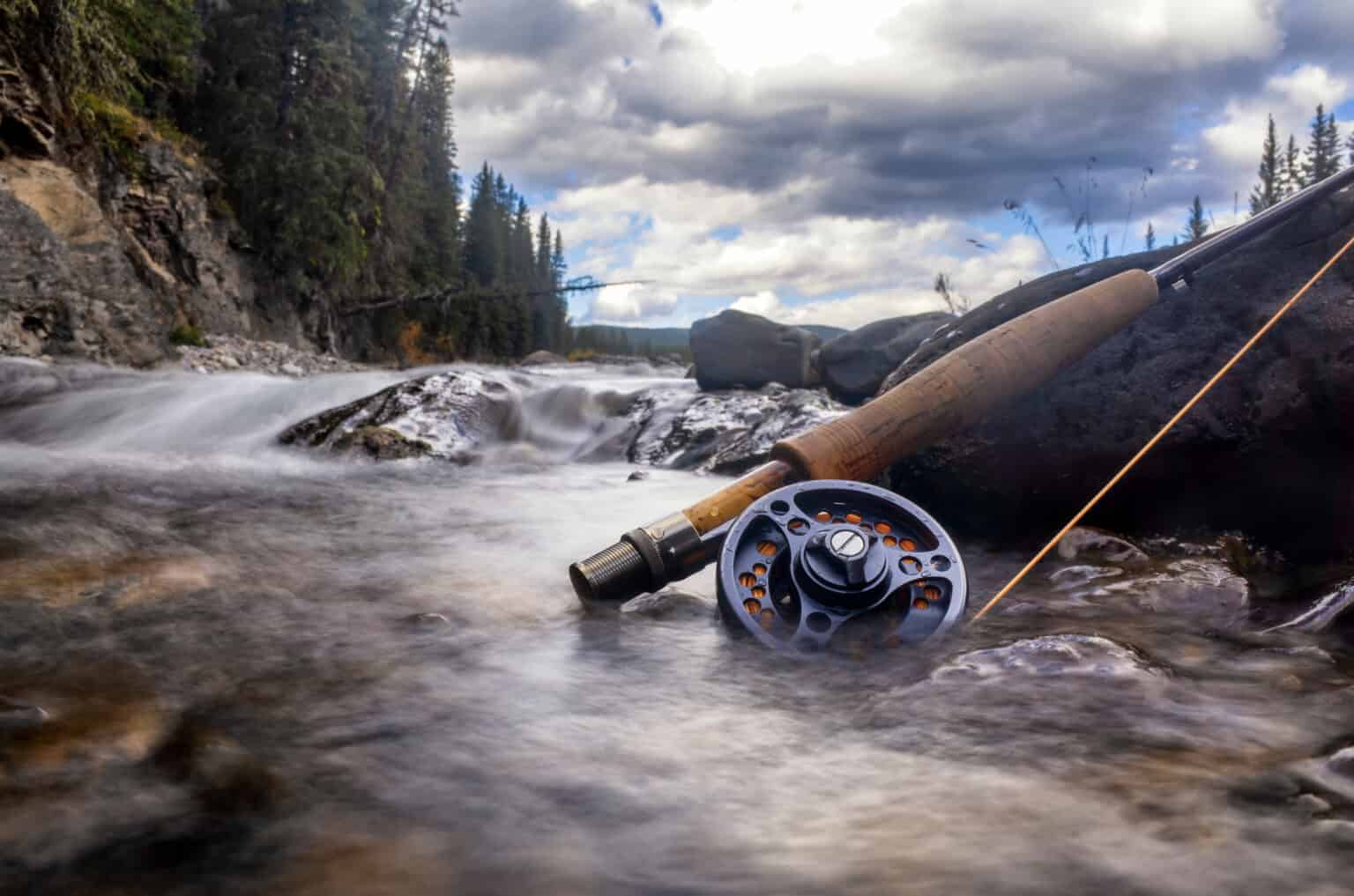 Discover the Official State Fish of West Virginia (And Where You Can ...
