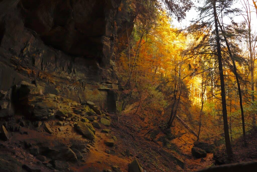 Cantwell Cliffs in Hocking Hills