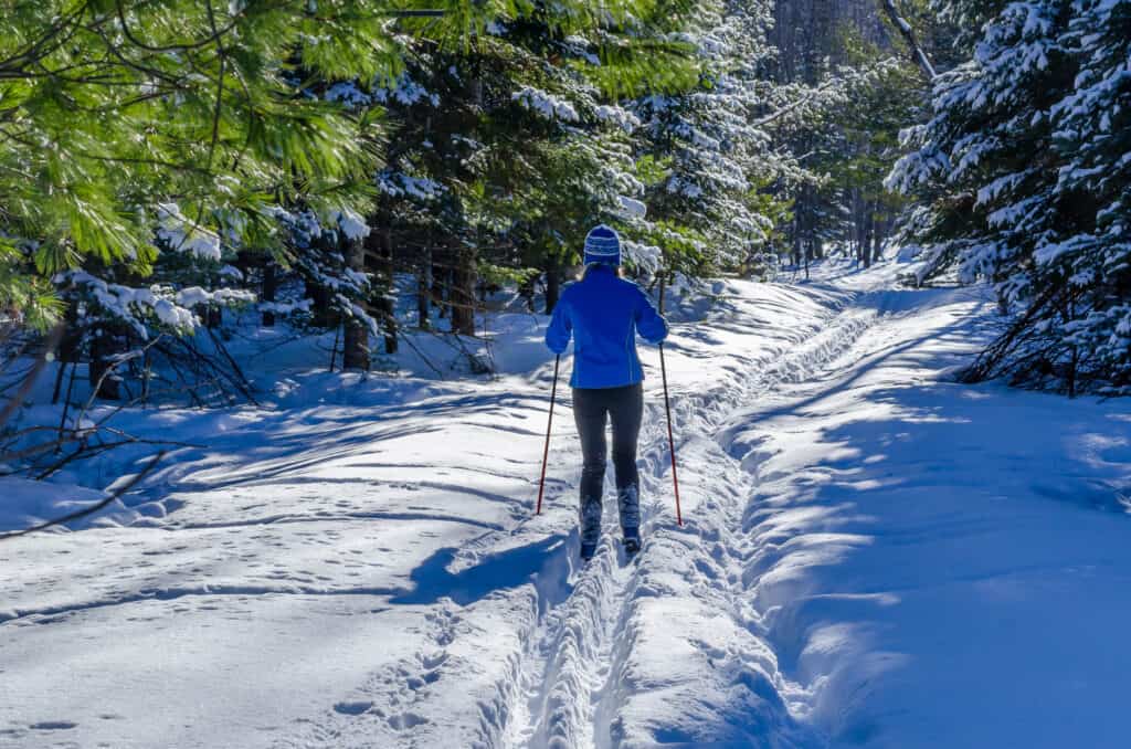 Cross country skiing in Michigan