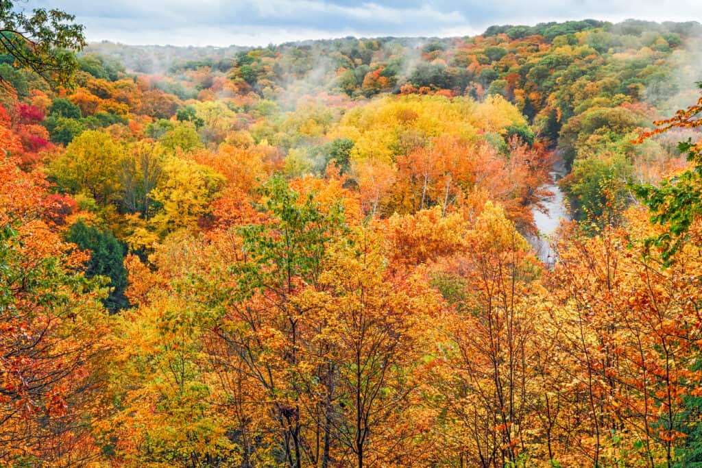 Fall foliage in Cuyahoga Valley