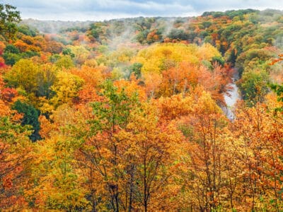 A Discover 8 Incredible Places To See Fall Foliage Near Washington, DC