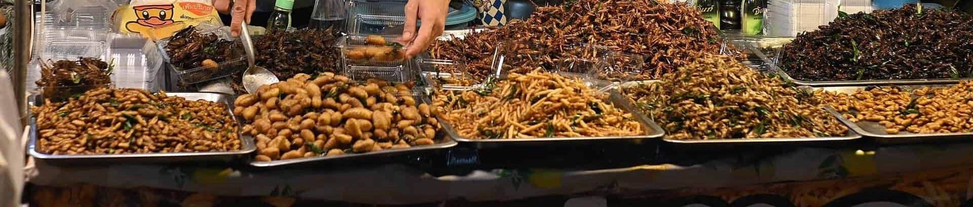 7 Insects You Can Eat