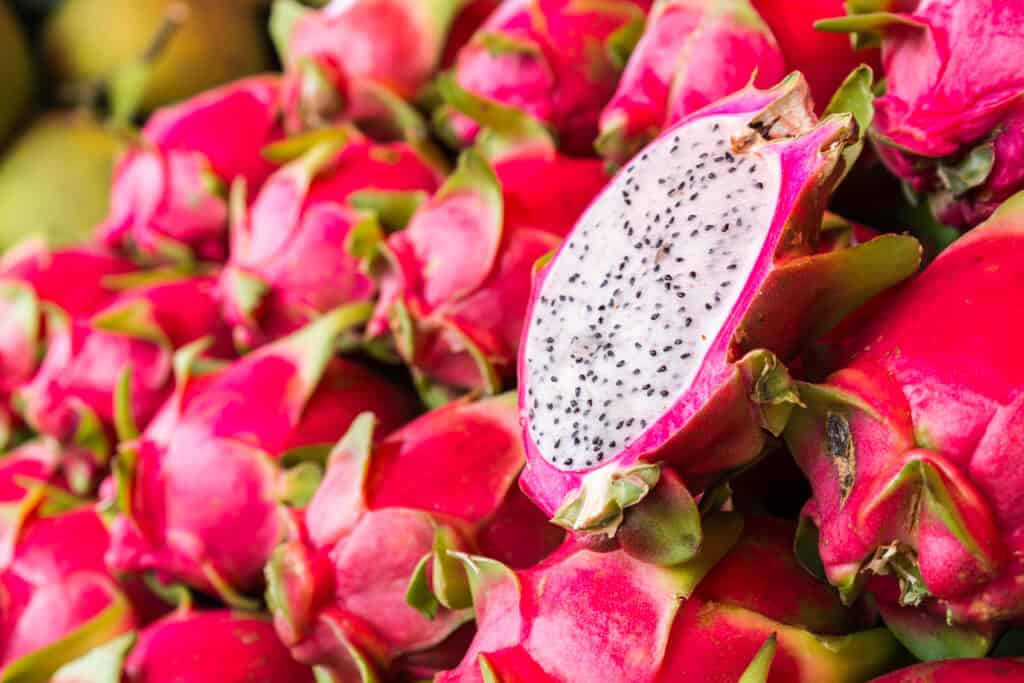 Dog Tail Cactus vs. Dragon Fruit - AZ Animals