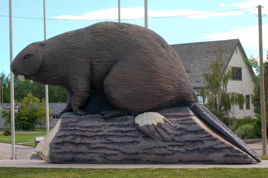 Giant Beaver statue