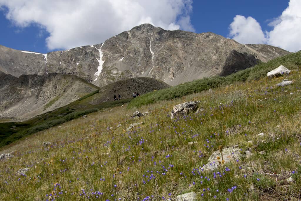 Grays Peak