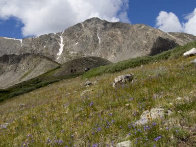 A Discover Just How Tall Grays Peak Really Is