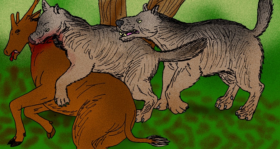 A pair of bear-dogs, Hemicyon sansansiensis