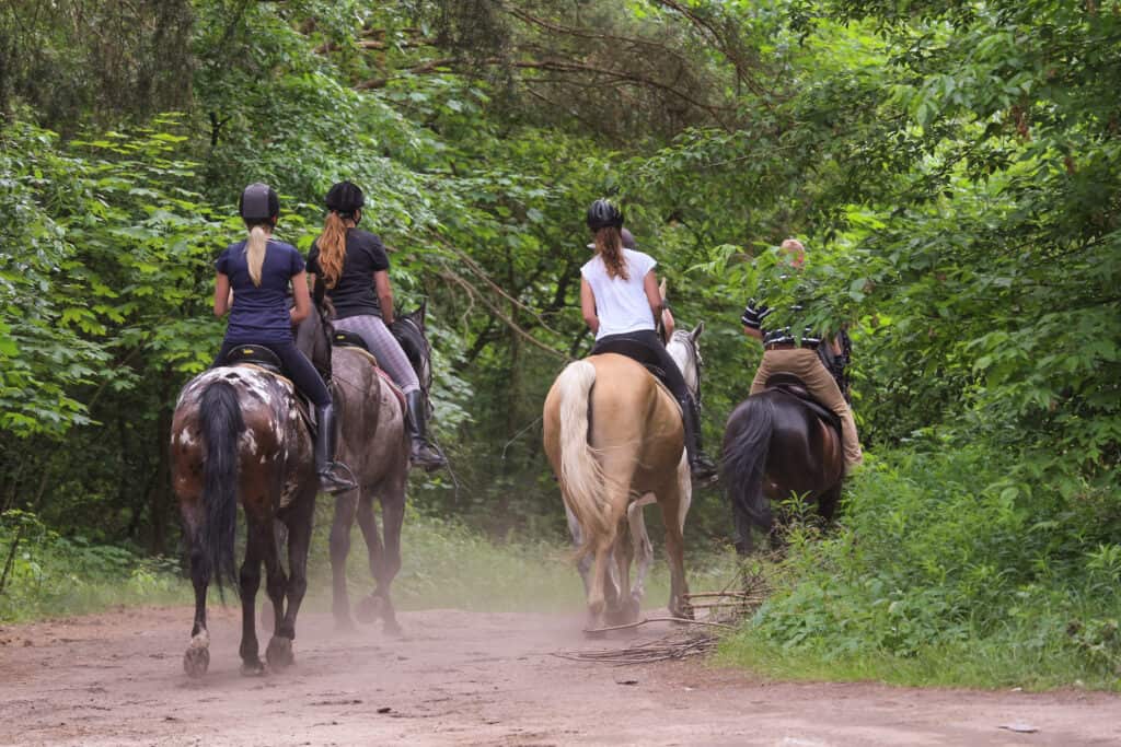 Sand Ridge State Forest in Illinois offers numerous horseback riding trails