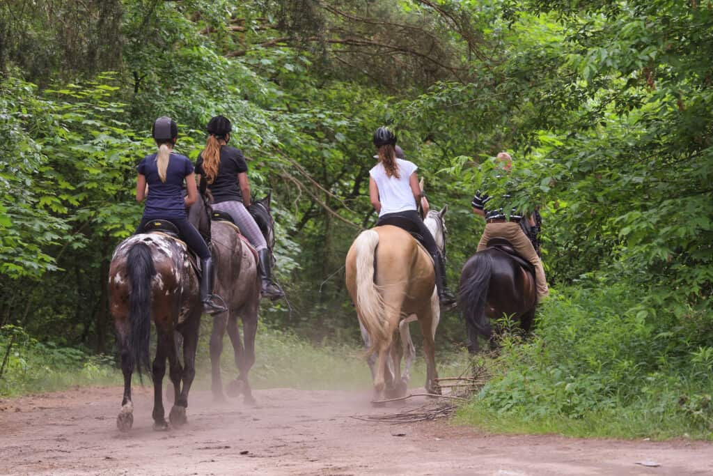 Horseback riding trail