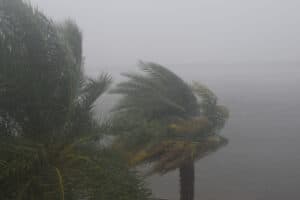 Why Does Florida Have So Many Hurricanes? photo