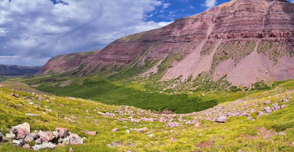 King's Peak in Ashley National Forest