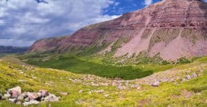 Discover 5 Animals Atop Utah’s Tallest Mountain photo