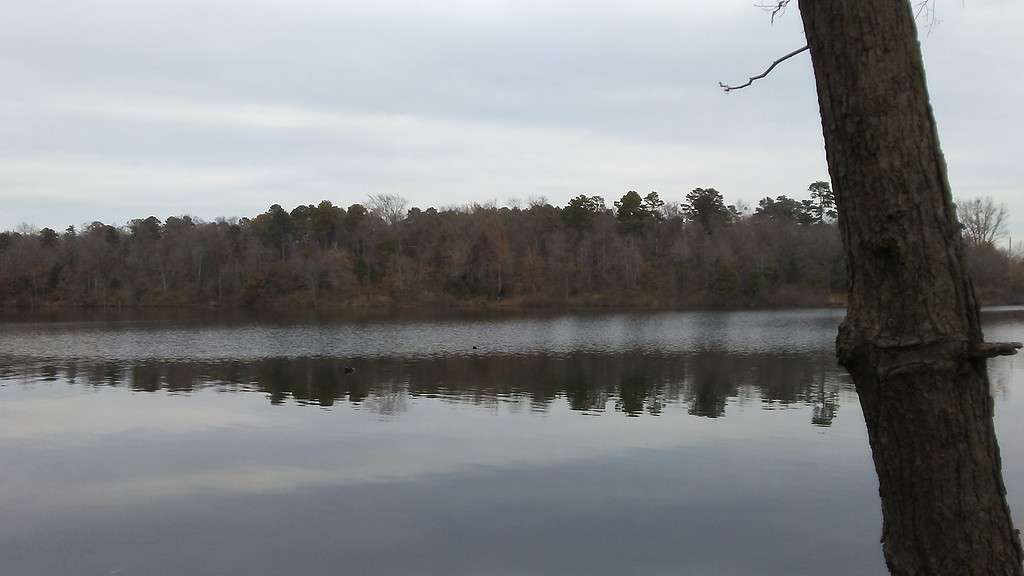 Lake Bob Sandlin in December 2018