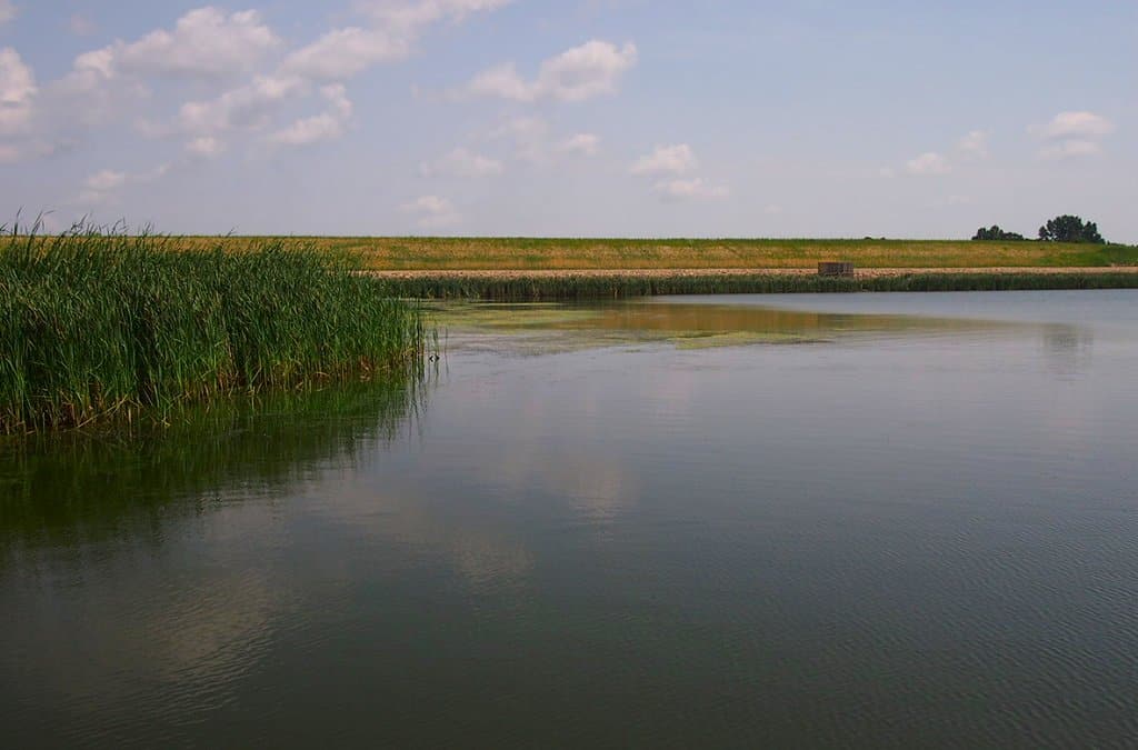 Icelandic State Park