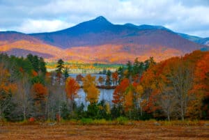 The Largest Landowner In New Hampshire Picture