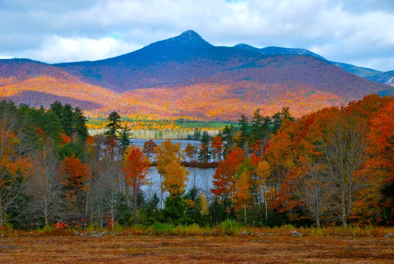 The summit of Mount Chocorua is bare rock due to forest fires that have happened throughout the last century.