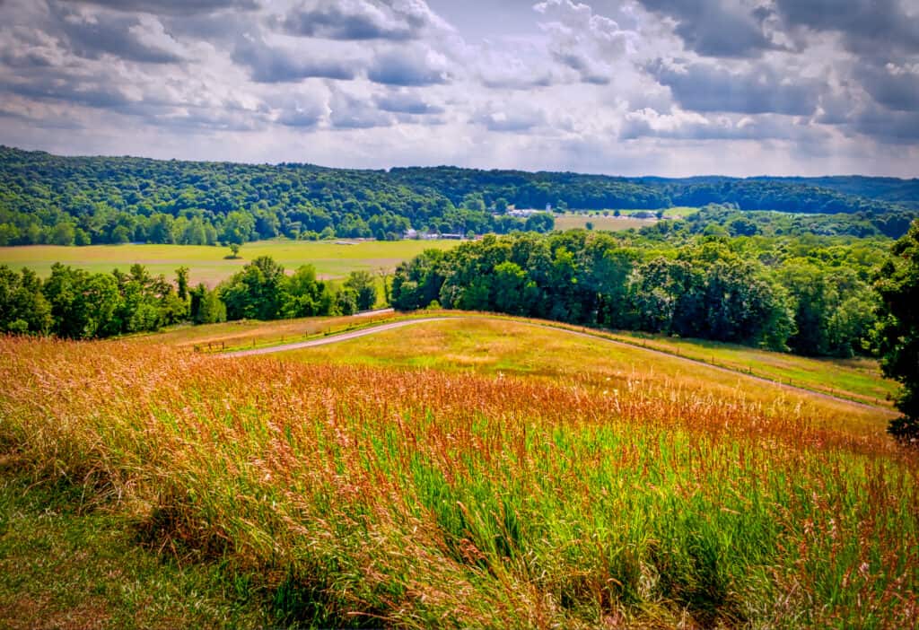 Pleasant Valley view