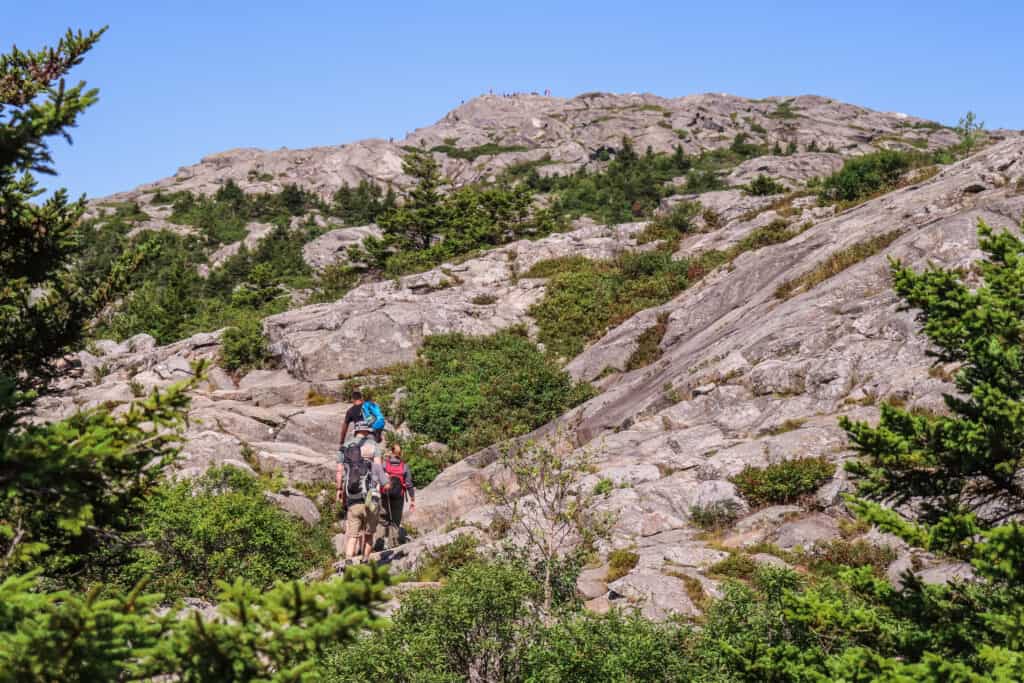 hikers on Mount Monadnock