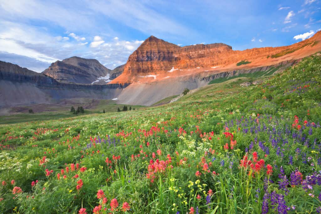 Spring in Utah