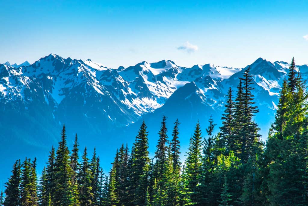 A panoramic view of the majestic Canadian Rocky Mountains in Kicking Horse, British Columbia.