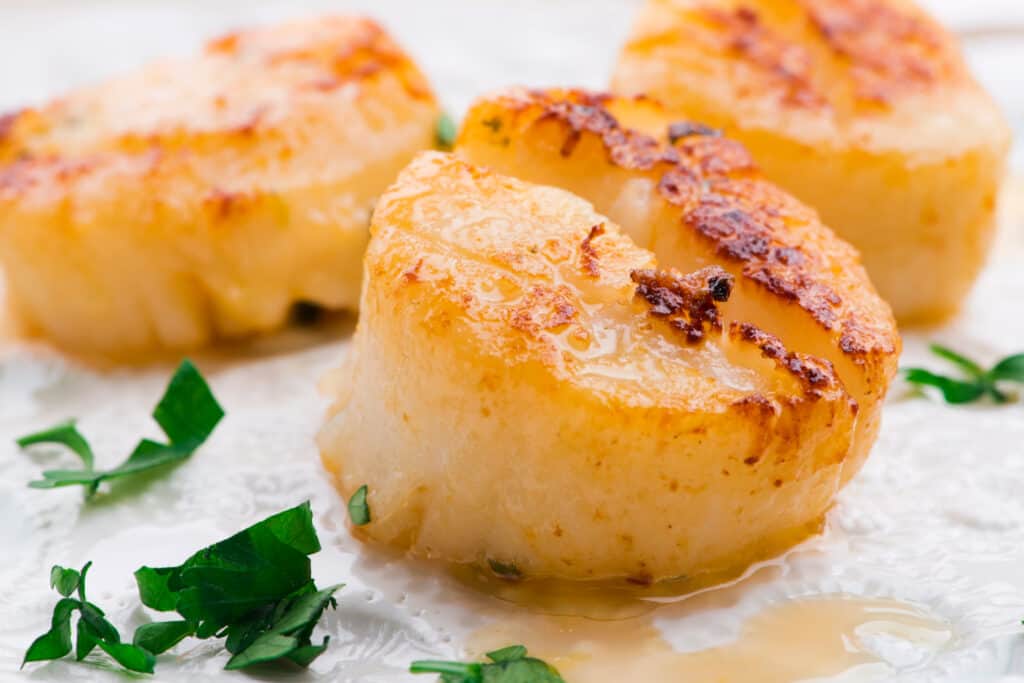 Fully cooked, pan-seared scallops