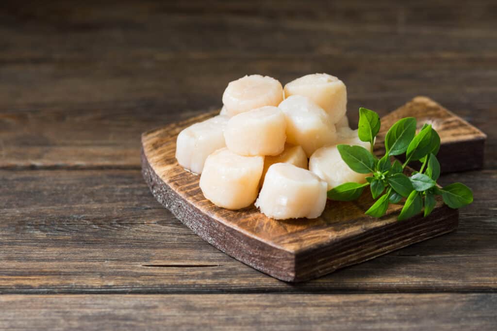 Raw scallops on a wooden board