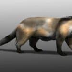 Sarkastodon