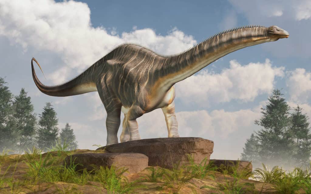 Sauropod (Apatosaurus)