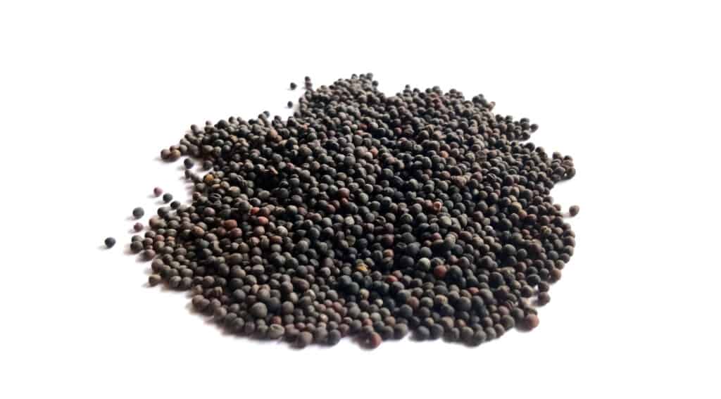 kale seeds