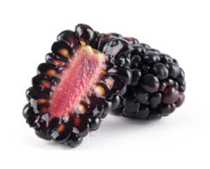 Blackberry Seeds: How to Grow Your Own Berry Bramble Picture